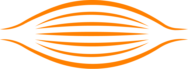 EMS