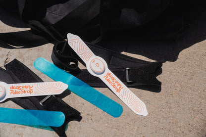 Straps (2 Pack)