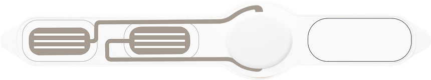 PulseStrap device view